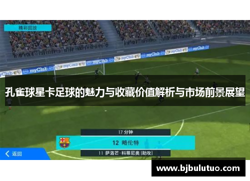 孔雀球星卡足球的魅力与收藏价值解析与市场前景展望
