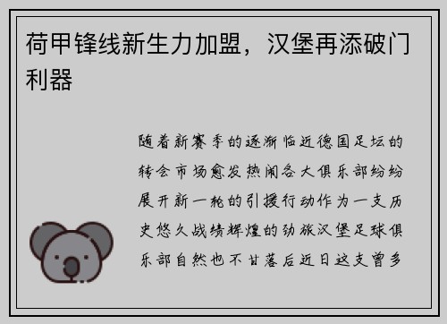 荷甲锋线新生力加盟，汉堡再添破门利器